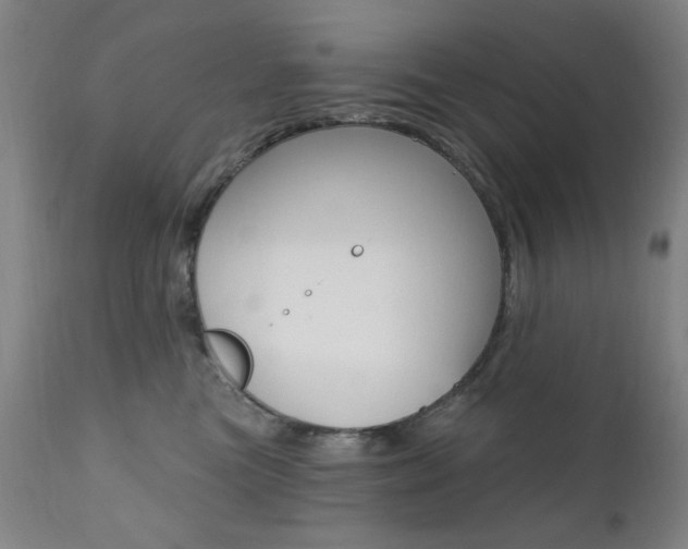 X0000111380473200907100941
