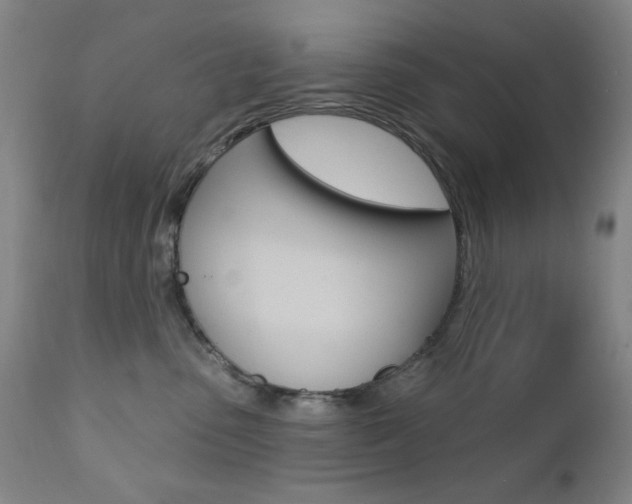 X0000111380475200907100941
