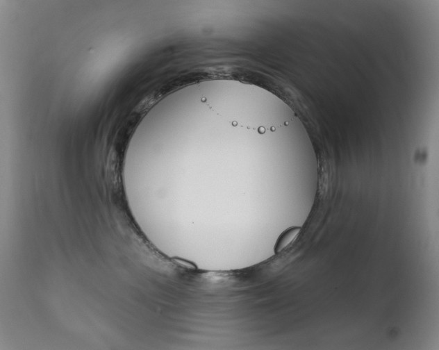 X0000111380477200907100941