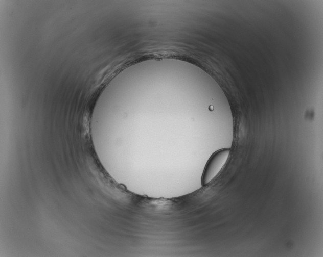 X0000111380478200907100941