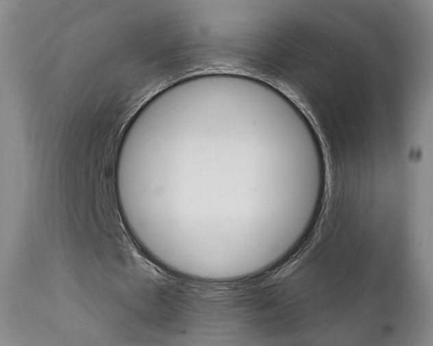 X0000111380481200907100941