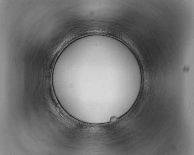 X0000111380482200907100941