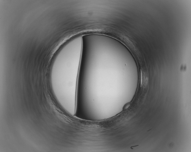 X0000111380483200907100941