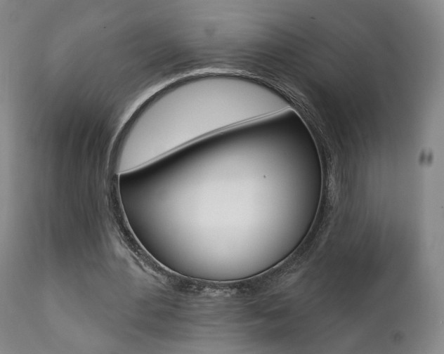 X0000111380484200907100941