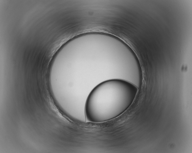 X0000111380485200907100941