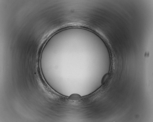 X0000111380486200907100941