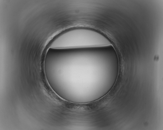 X0000111380488200907100941