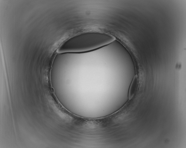 X0000111380489200907100941