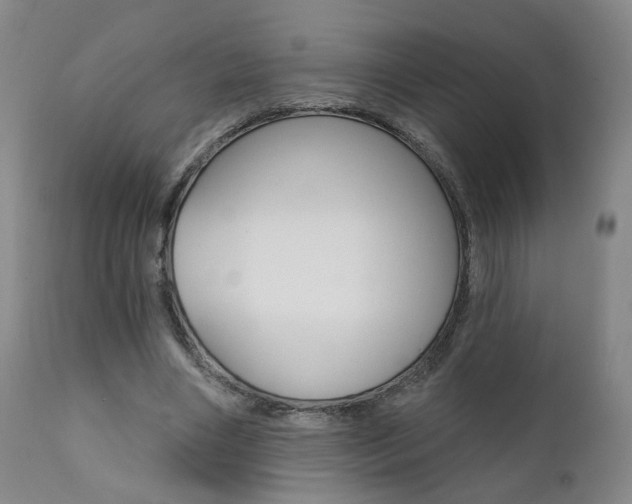 X0000111380490200907100941