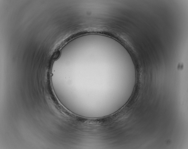 X0000111380491200907100940