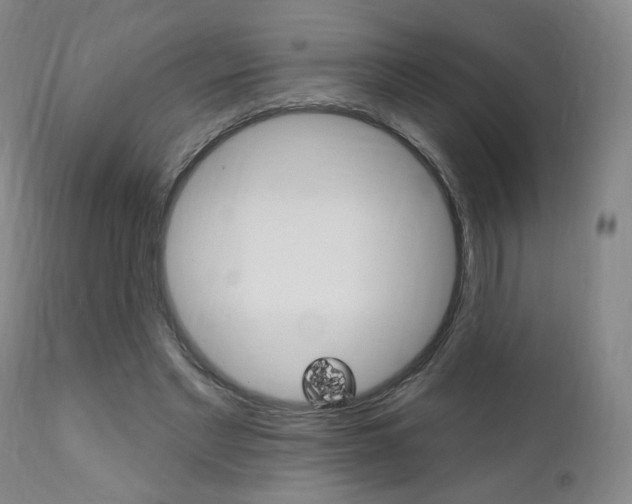 X0000111380493200907100940