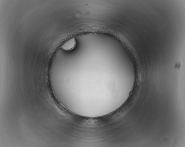X0000111380497200907100940