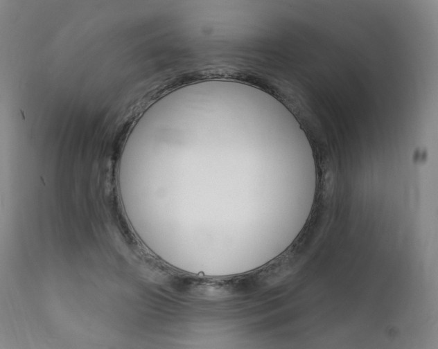 X0000111380498200907100940