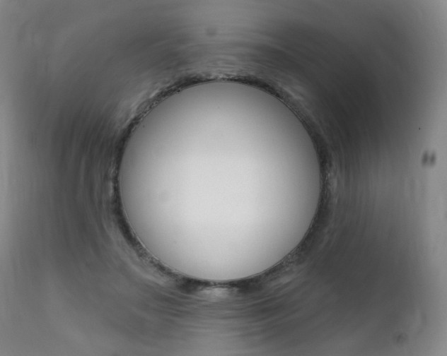 X0000111380499200907100940