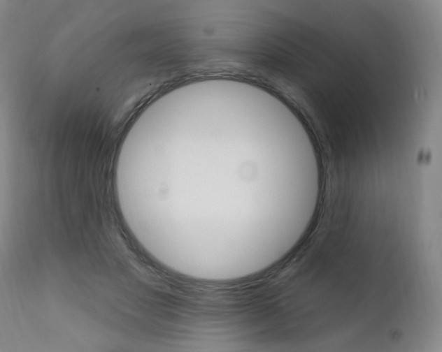 X0000111380501200907100940