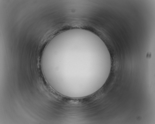X0000111380502200907100940