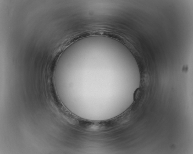 X0000111380504200907100940
