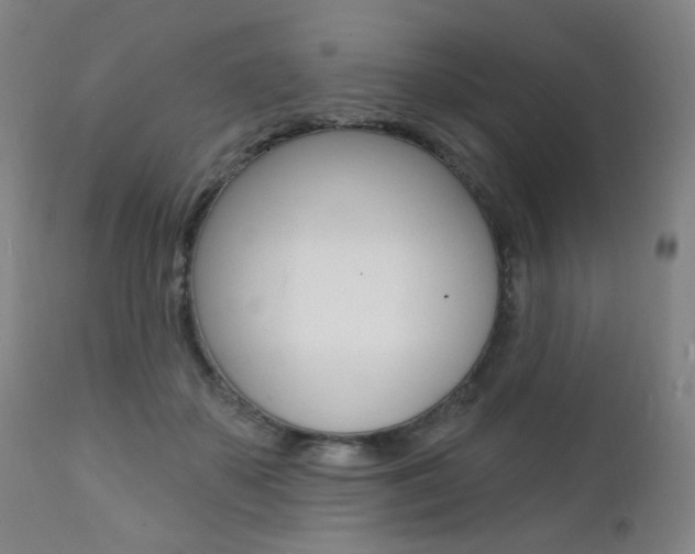 X0000111380507200907100940