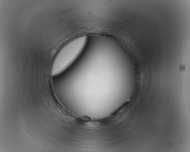 X0000111380508200907100940