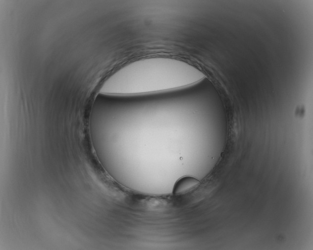X0000111380512200907100940