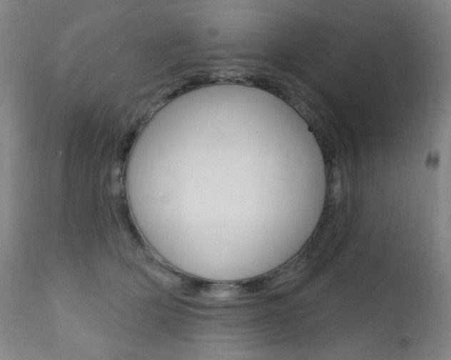 X0000111380514200907100940