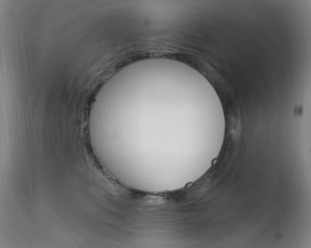 X0000111380519200907100940