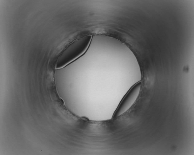 X0000111380521200907100940