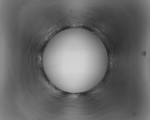 X0000111380523200907100940