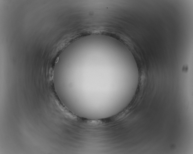 X0000111380525200907100940