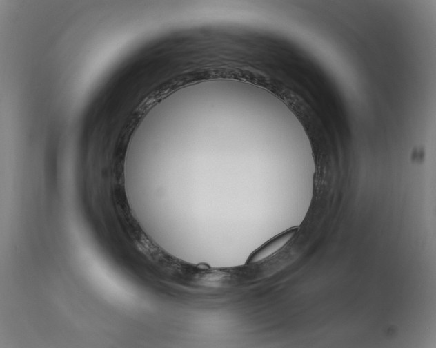 X0000111380527200907100940