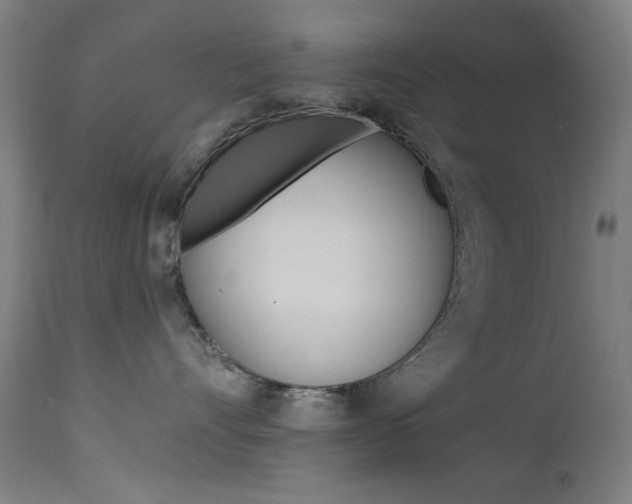 X0000111380528200907100940