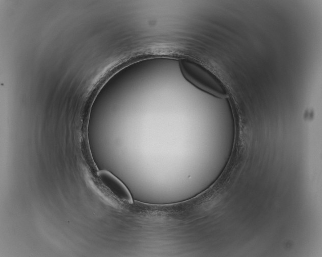 X0000111380530200907100939