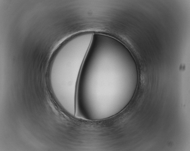 X0000111380532200907100939