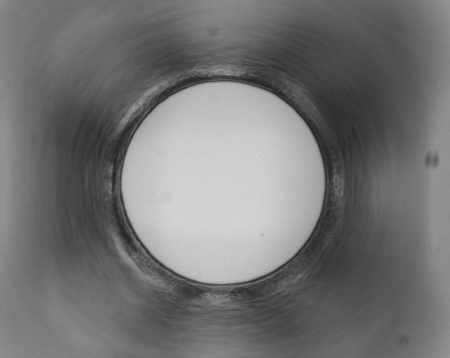 X0000111380534200907100939