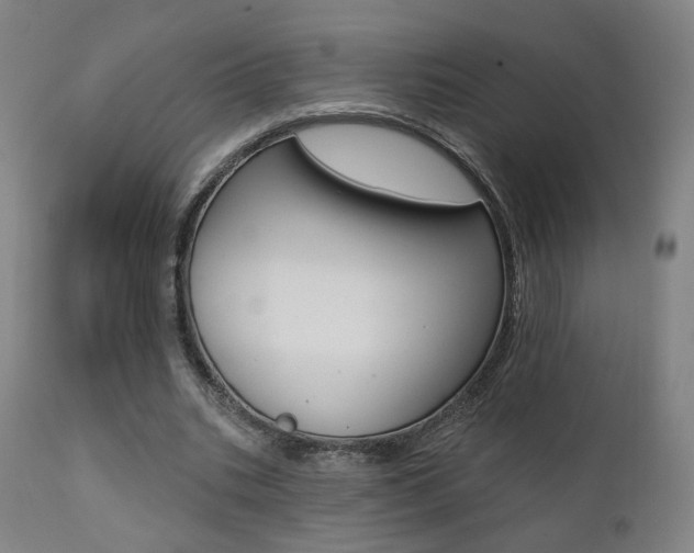 X0000111380535200907100939