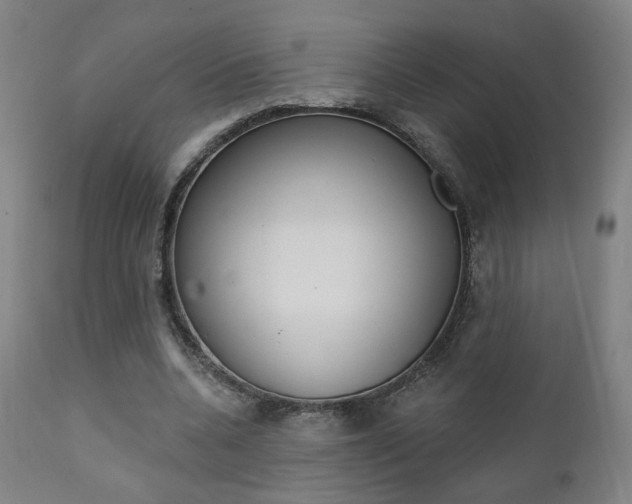 X0000111380536200907100939