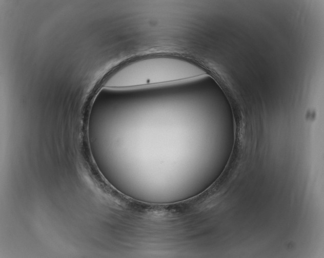X0000111380540200907100939