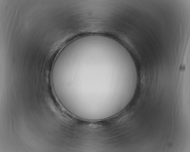 X0000111380542200907100939