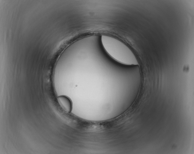 X0000111380543200907100939