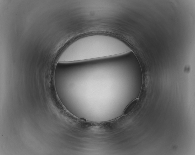 X0000111380544200907100939