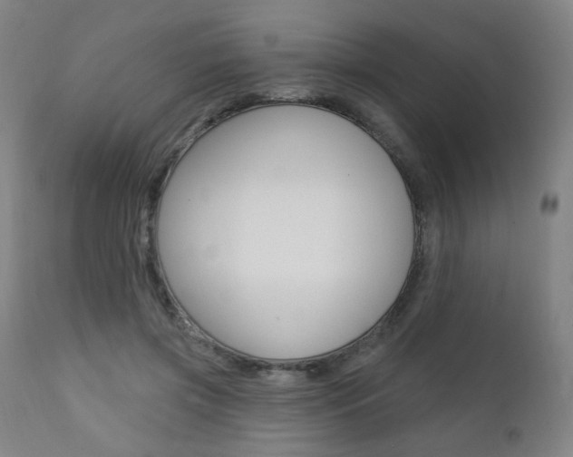 X0000111380549200907100939
