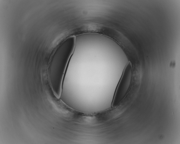 X0000111380552200907100939