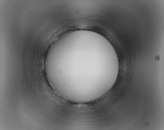 X0000111380554200907100939