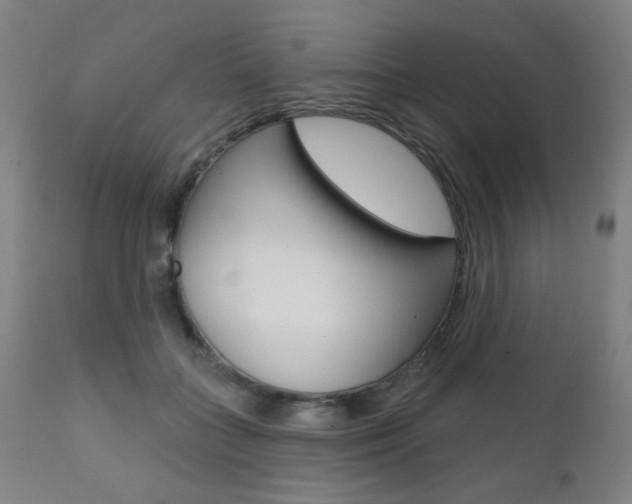 X0000111380555200907100939