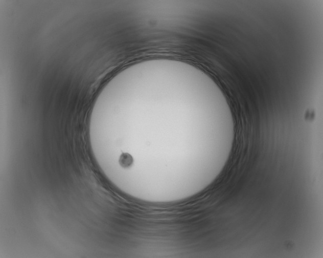 X0000111380556200907100939