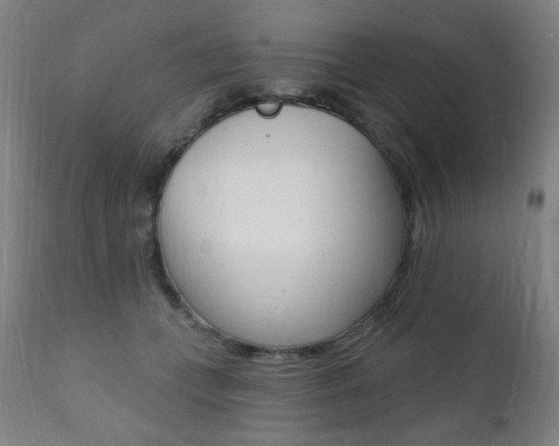 X0000111380559200907100939