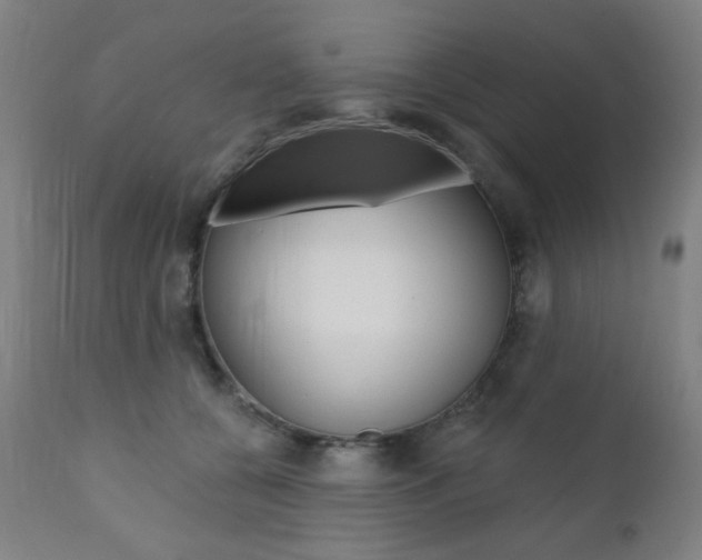 X0000111380560200907100939