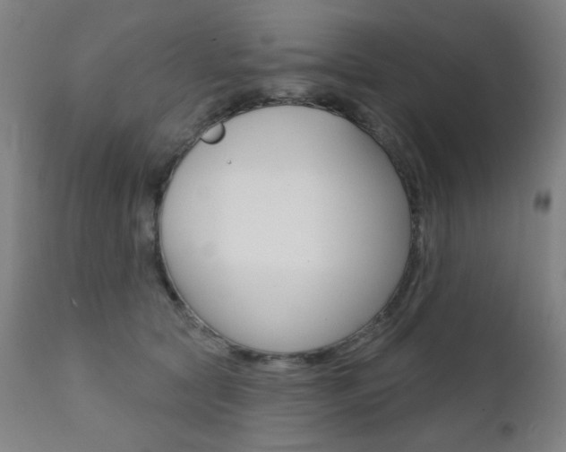 X0000111380561200907100939