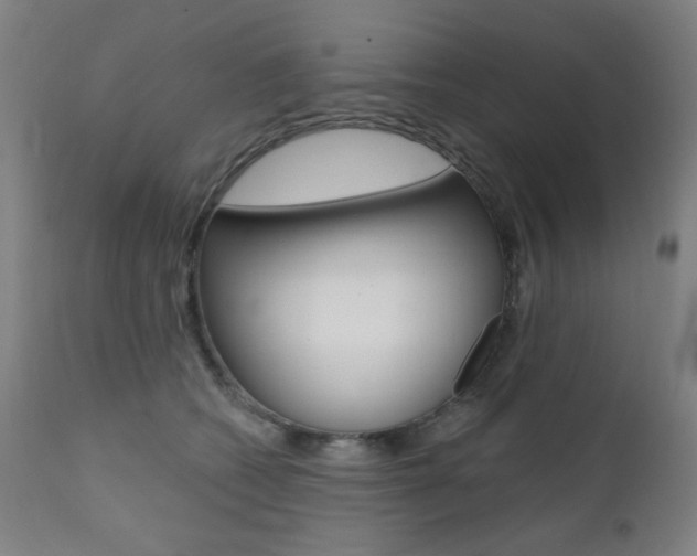 X0000111380562200907100939