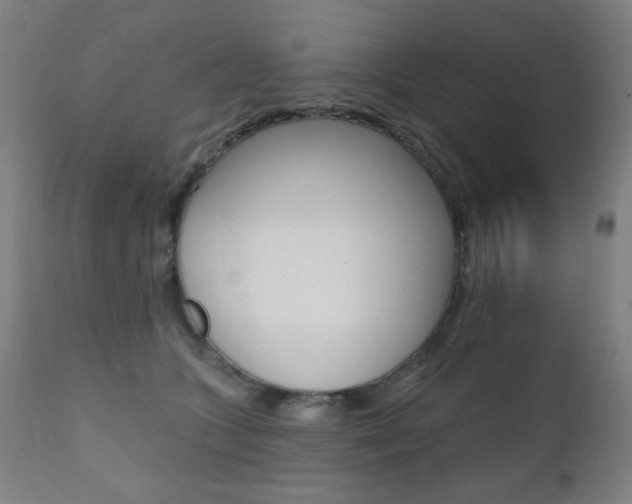 X0000111380563200907100939